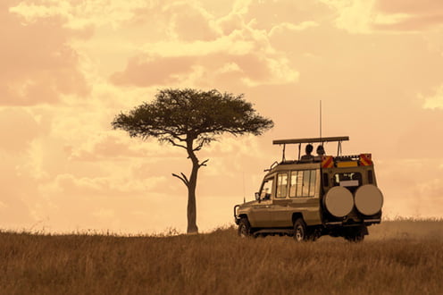 luxury-travel-safari