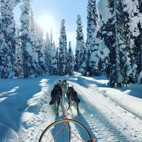 luxury-lapland-holiday