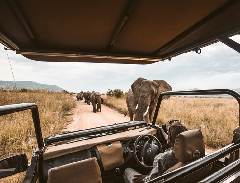 luxury-travel-club-africa