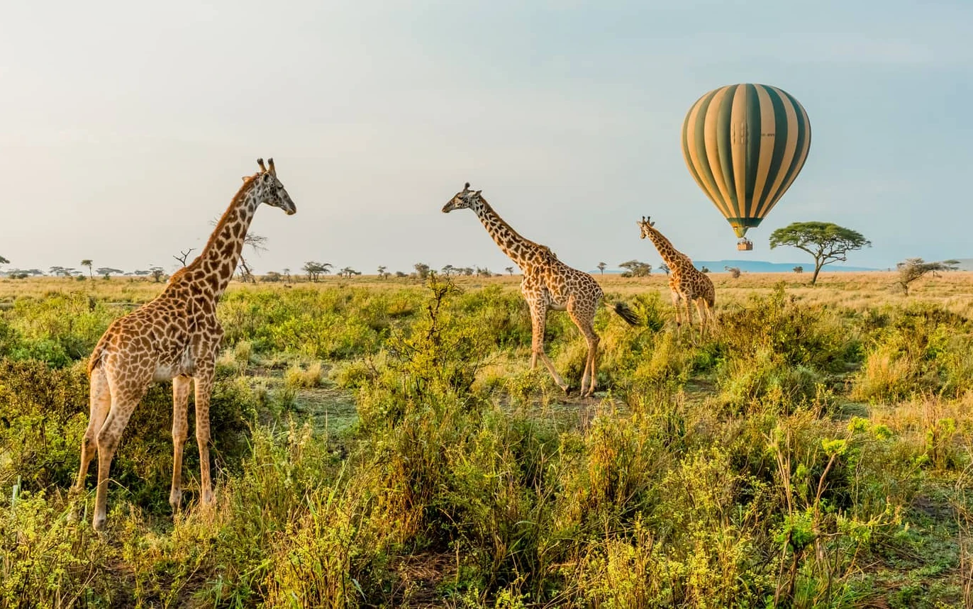 luxury-tailor-made-experiences