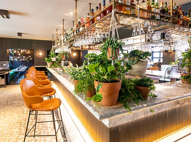 amsterdam-luxury-hotels